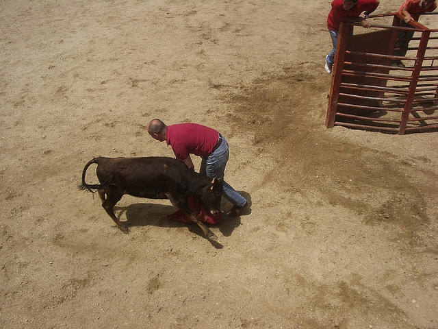  Capeas in La Rioja 